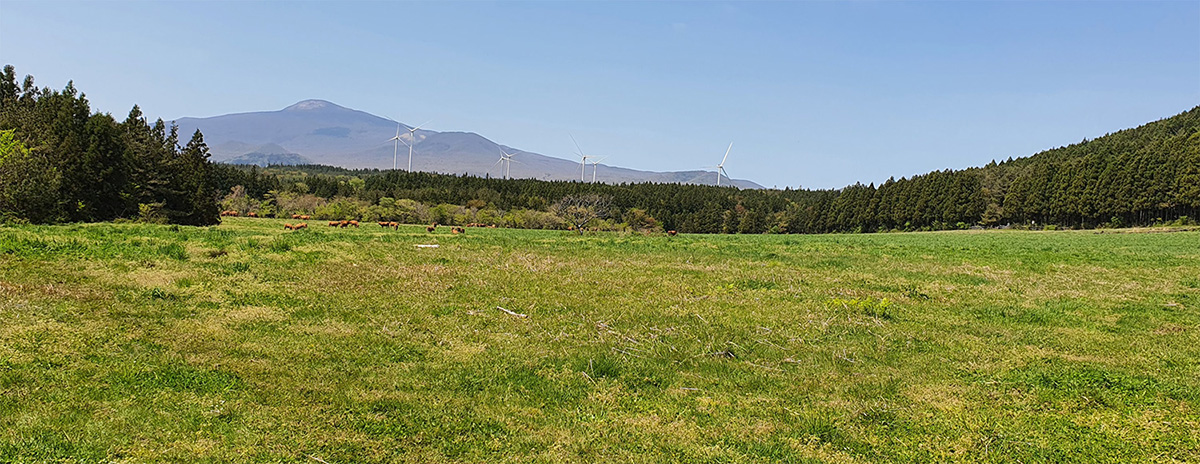 람사르습지도시 서귀포