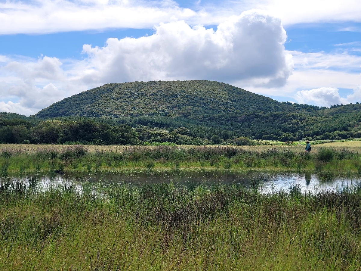 수망리무명습지1