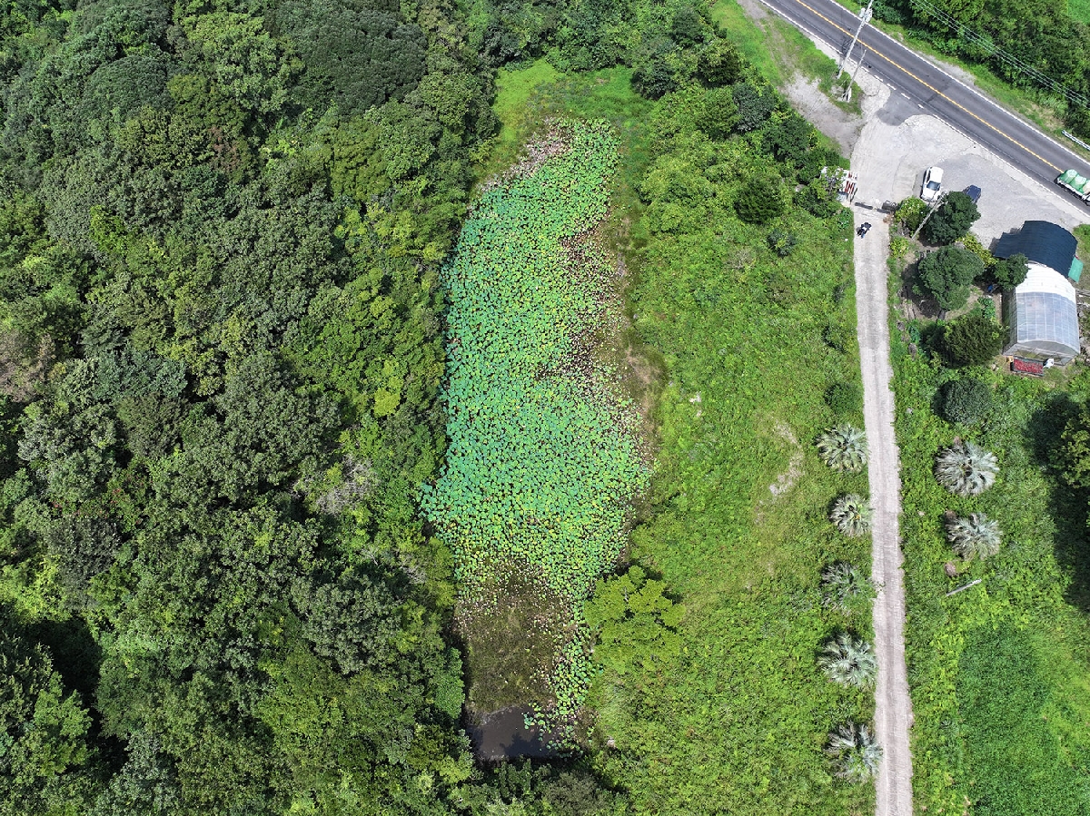 무명습지2 한남리11-6한남못1