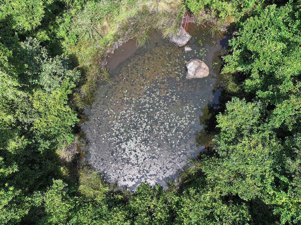 무명습지1 한남리산5-7쵸콜렛공장맞은편