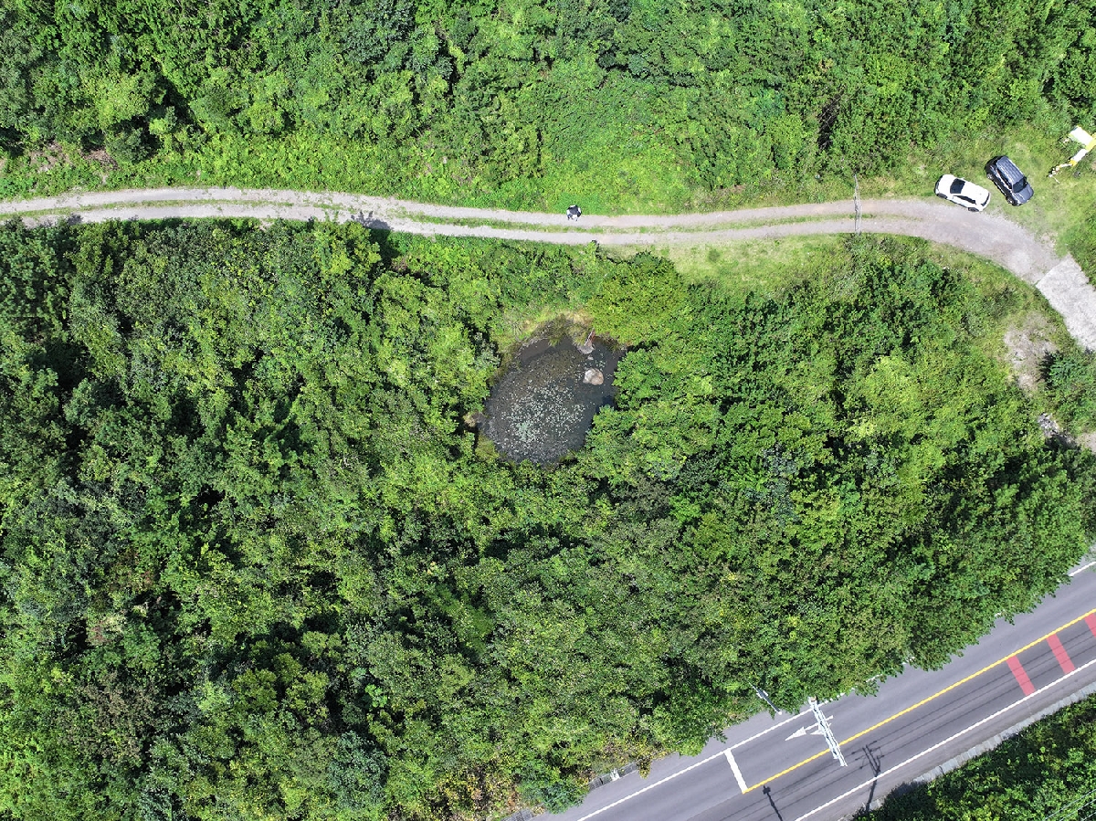 무명습지1 한남리산5-7쵸콜렛공장맞은편2