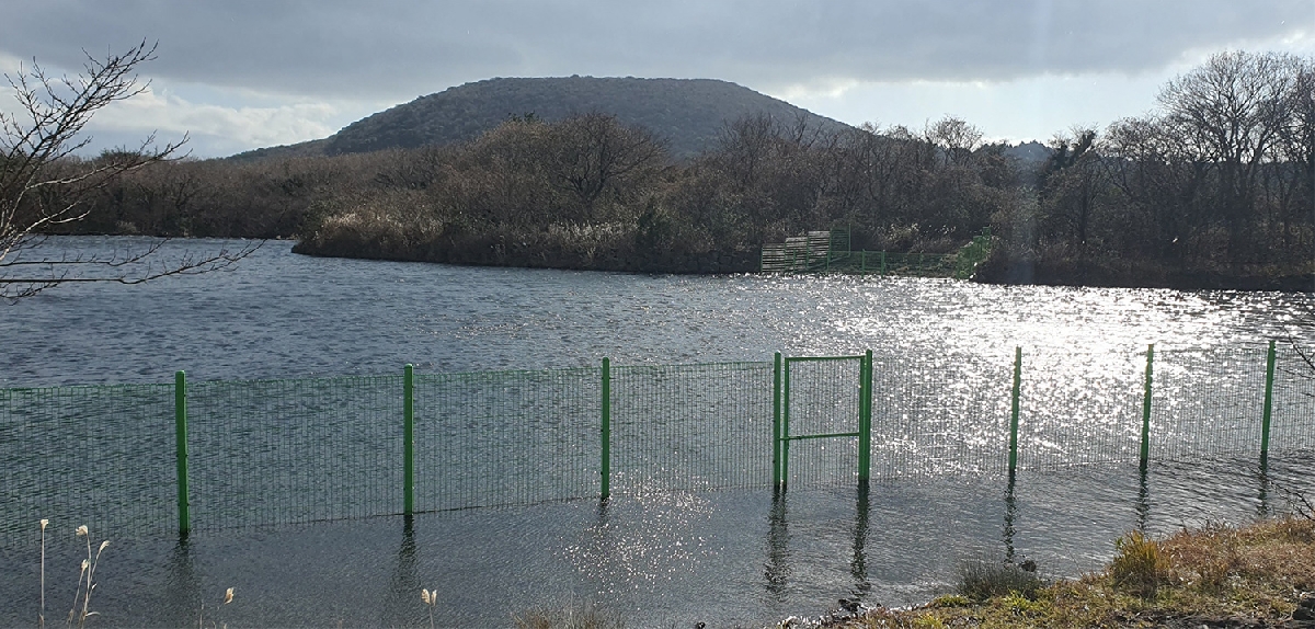 물영아리오름 자락의 송천저수지