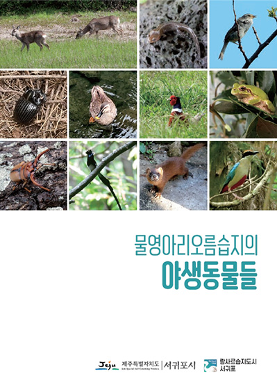 물영아리오름습지 야생동물들