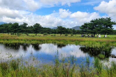 습지현황 조사 및 모니터링사업(3월 ~ 9월)